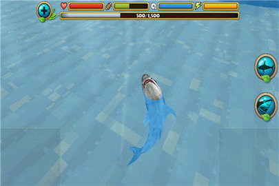 鲨鱼的生活（Life of Shark - Hungry Sim）1