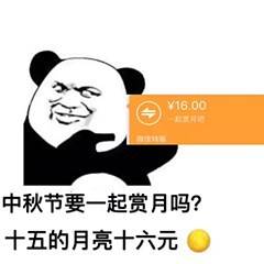 微信十五的月亮十六元是什么梗