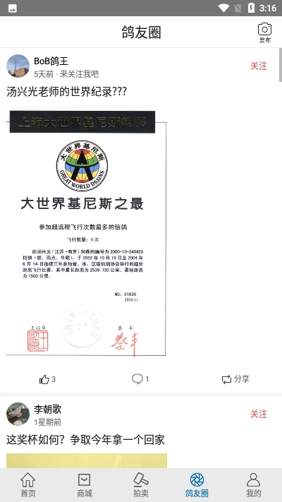 职业赛鸽网app4