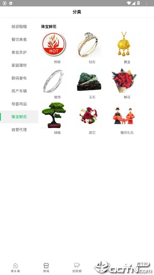 淇淇果3