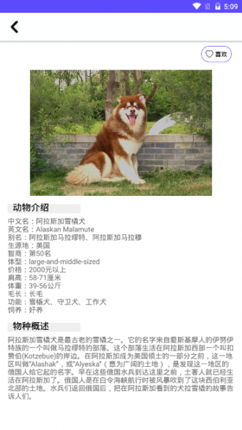 狗狗图鉴app（Dog illustrated）4