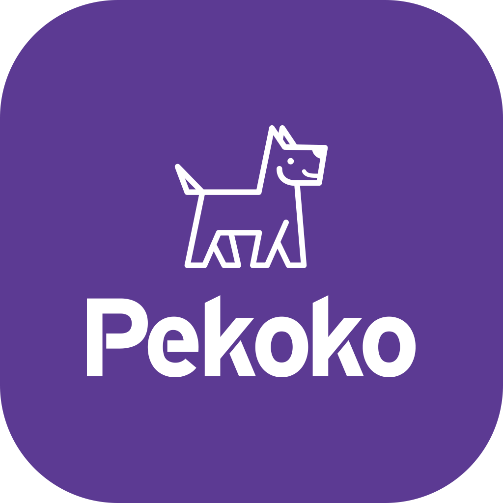 Pekoko皮可可(便携迷你彩色打印机)