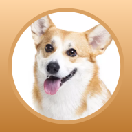 狗狗图鉴app（Dog illustrated）