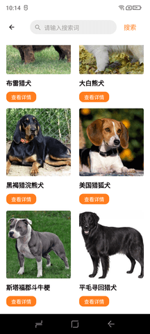 缘宠2