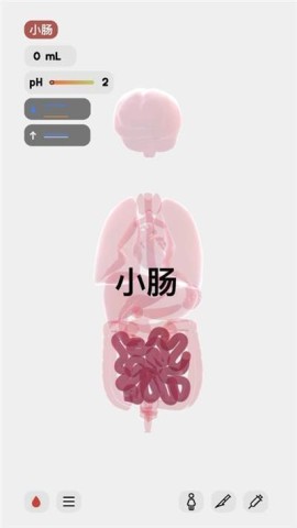 生命life1