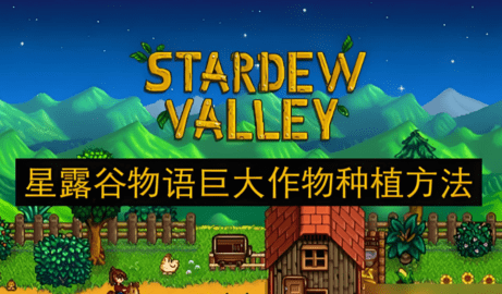 星露谷物语巨大作物怎么容易出