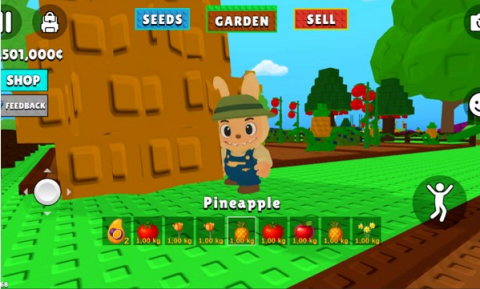 拉布布的种植花园