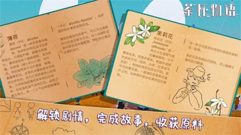 茶杯物语2