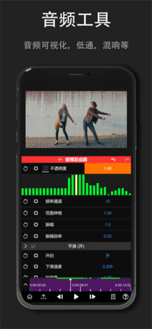 nv剪辑专业版