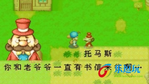 牧场物语矿石镇的伙伴们5