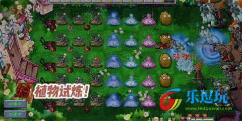 植物大战僵尸共生版