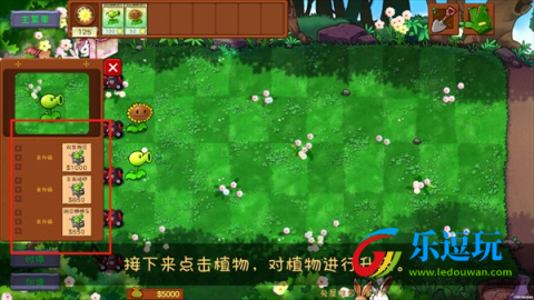 植物大战僵尸共生版