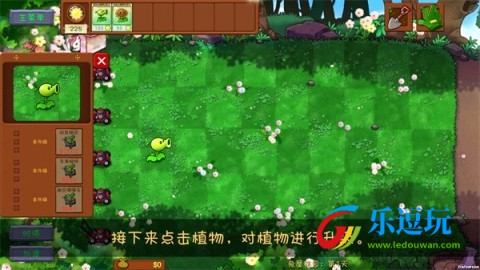 植物大战僵尸共生版