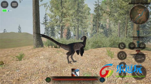 泰坦之路国际服