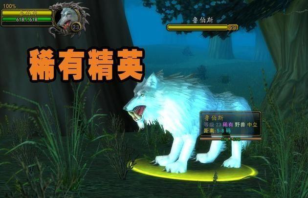 魔兽世界猎人稀有宝宝大全,魔兽世界60版本猎人稀有宝宝