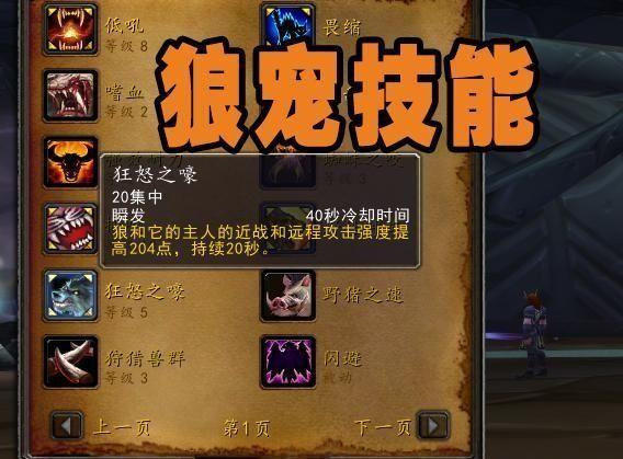 魔兽世界猎人稀有宝宝大全,魔兽世界60版本猎人稀有宝宝