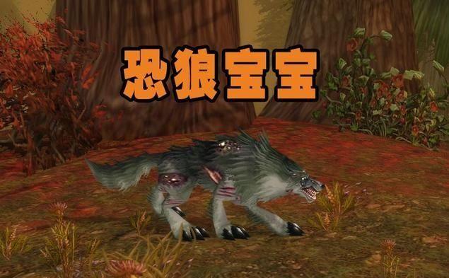 魔兽世界猎人稀有宝宝大全,魔兽世界60版本猎人稀有宝宝