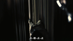 星际争霸1完整剧情,星际争霸1剧情深度解析