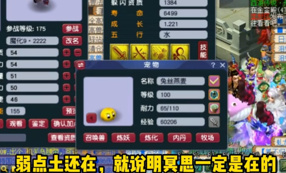 梦幻西游手游打书冲突图,梦幻打书技能顺序与冲突跳位
