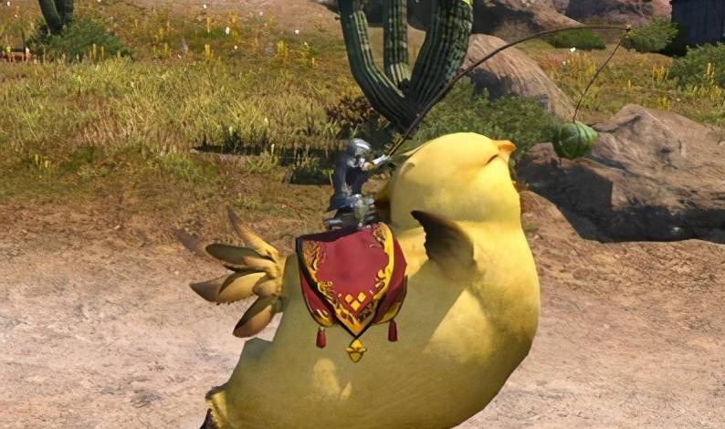 ff14坐骑获得一览,ff14大黄鸡坐骑怎么获得?