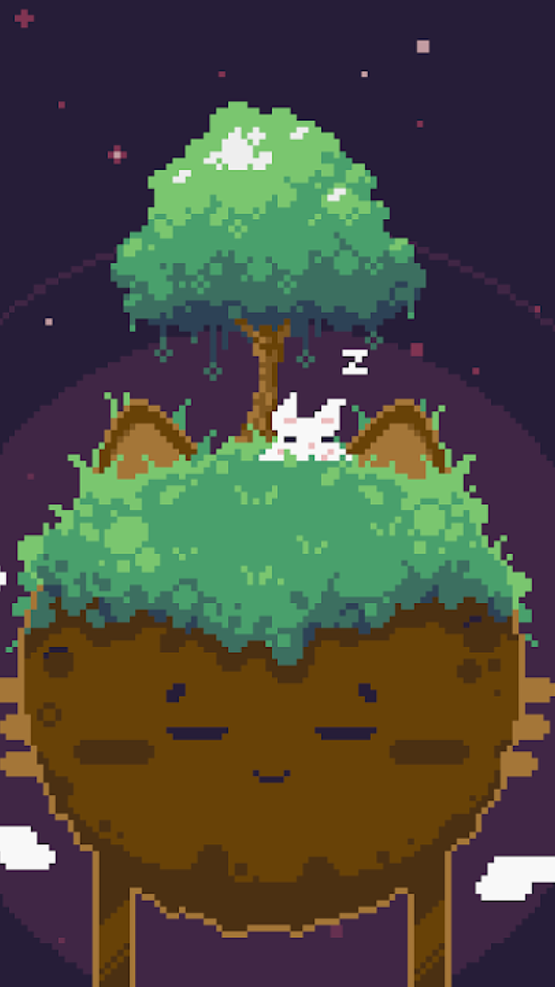 飞天萌猫2